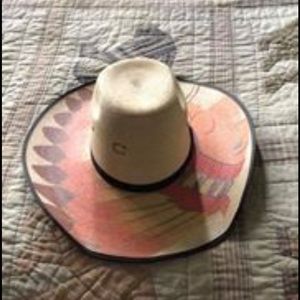 Charlie 1 horse  straw hat